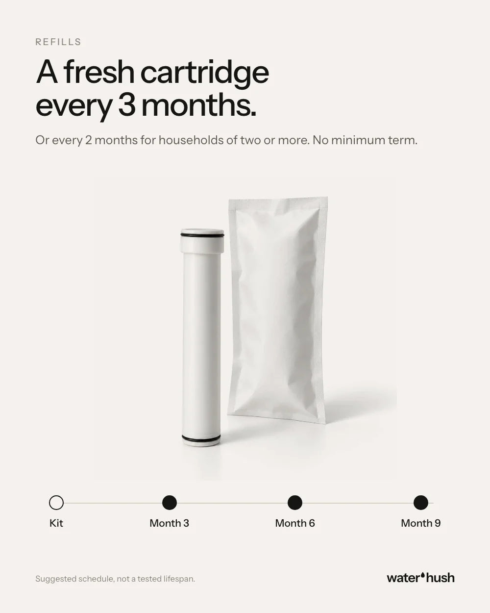 A fresh cartridge every 3 months, or every 2 for households of two or more (AI-generated illustration)